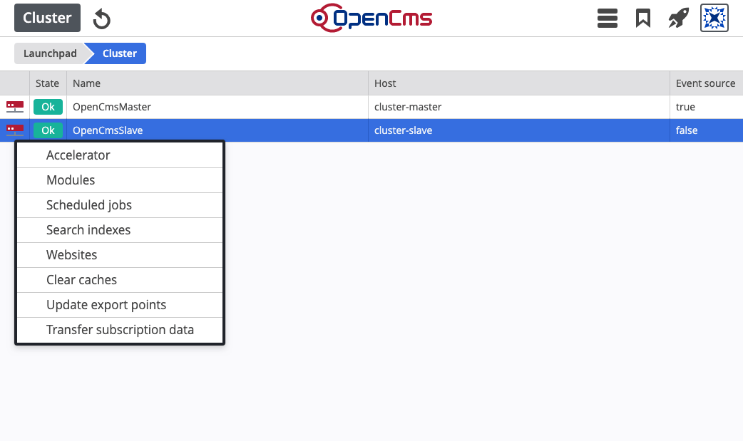 Cluster Manager Übersicht